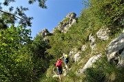 23 Il bosco si dirada e il sentiero sale in traverso l'erboso-roccioso versante ovest del Pizzo di Spino